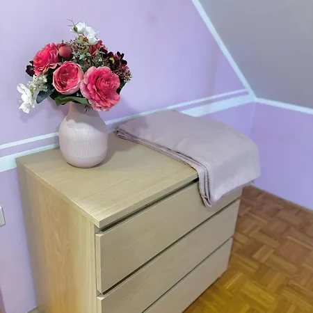 Infinity Moon Apartmán Spodnje Hoce